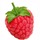 Raspberry.thumb