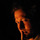 230126_2052897647629_1400175990_32457799_3190207_n.thumb