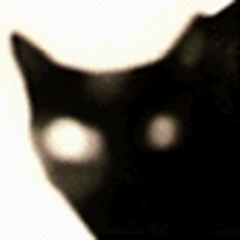 Blackcat.large