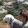 Be_the_dog_you_wish_to_see_in_the_world.thumb