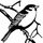 Sparrow.thumb