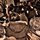 S582390192_5432892_4610.thumb