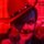 Fb_profile_picture.thumb