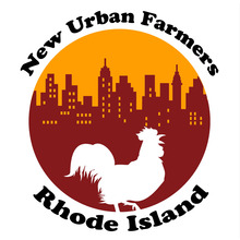 Big_logo_nuf.large