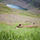 97560026.thumb