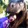 Fb_profile_picture.thumb