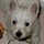 181069_1865906250548_1327770330_2126980_6445851_n.thumb