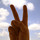 193922475_09b6e9ded9_m.thumb