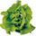 Lettucesflink.thumb