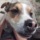 Archimedes-profile-pic.thumb