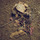 Andrewdrozpalermo06.thumb