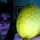 Photo_73.thumb