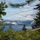 Dsc02345.thumb