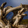 Rainbowportal_fin.thumb