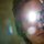 206421_10150172419120737_581070736_7265204_4334118_n(2).thumb