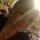 Fb_profile_picture.thumb