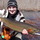 Dsc00262.thumb