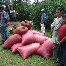 129038513_5bnvp-l.large