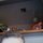 33489_845611820092_12121107_46438915_6718294_n.thumb