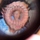 100_2950_0045.thumb