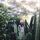 Fb_profile_picture.thumb