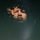 Fb_profile_picture.thumb
