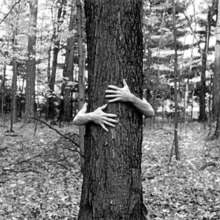 Treehug3.large
