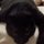 Fb_profile_picture.thumb