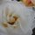 Fb_profile_picture.thumb