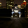 4513790656_8ef072ca68_b.thumb