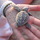 201002_playa_viva_045.thumb