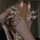 Fb_profile_picture.thumb