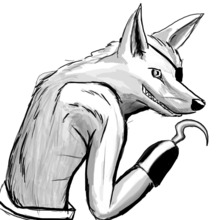 Piratecoyote.large