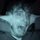 Fb_profile_picture.thumb