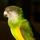 388764_570867840436_132501205_31708821_1542804463_n.thumb
