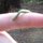 Fb_profile_picture.thumb
