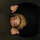 264952_300.thumb