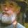 Davesinging.thumb