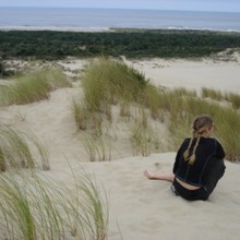 Artnoosesand.large