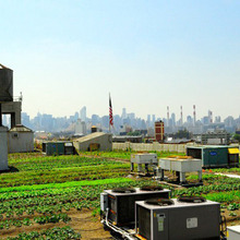 Farm.large