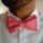 Rey_bowtie_profile_small.thumb