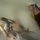 Fb_profile_picture.thumb