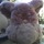 09-27-08_furbie.thumb