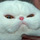 Grumpycat.thumb