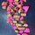 Fb_profile_picture.thumb