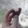 Fb_profile_picture.thumb