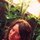 Fb_profile_picture.thumb