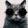 217120_10100762351373554_2348420_71880969_8299344_n.thumb