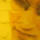 Phil2.thumb