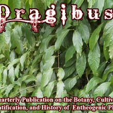 Dragibus.large